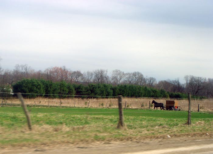 710DSC02406a.jpg:3805