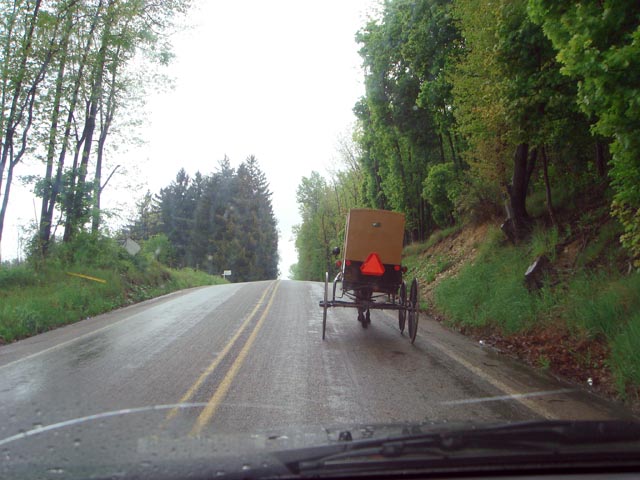 DSC00486a.jpg:3409