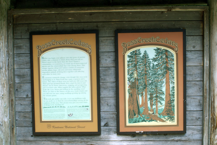 DSC02667003.jpg:4423