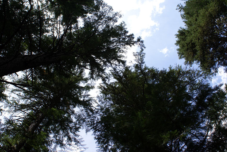 DSC02668004.jpg:4424