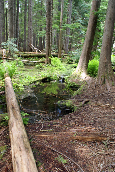 DSC02669001.jpg:4425