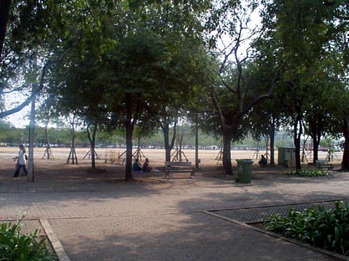 P002067.JPG:1246
