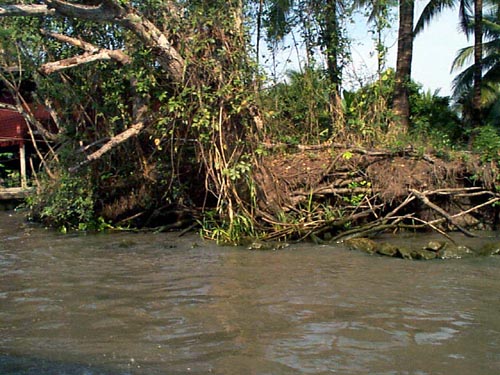 P002142.JPG:1302