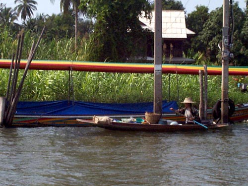 P002232.JPG:1378