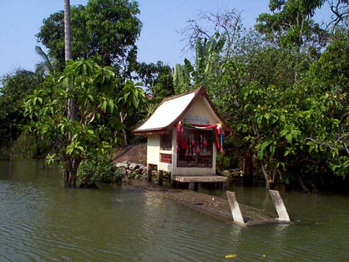 P002238.JPG:1384