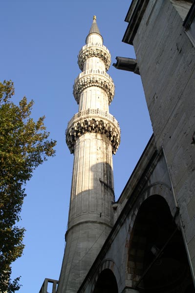 PICT0516a.jpg:2736
