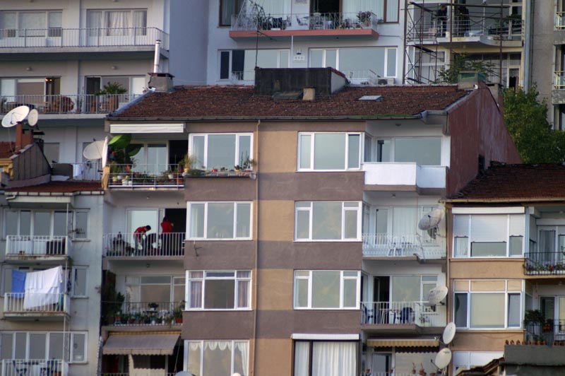 PICT0731a.jpg:2781