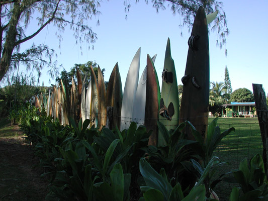 dscn3786.jpg:779