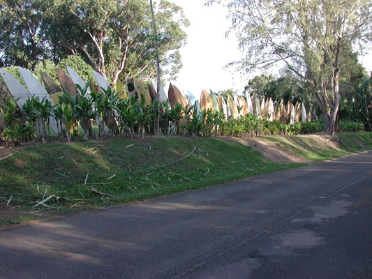 dscn3792.jpg:780