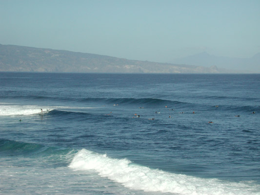 dscn3795.jpg:781
