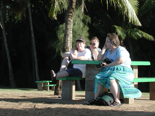 dscn3843.jpg:800