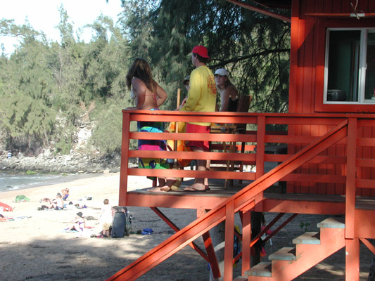 dscn3850.jpg:803