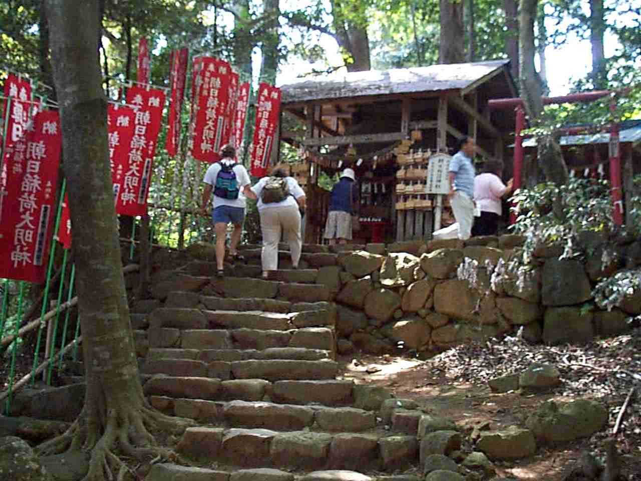p000412.jpg:3045