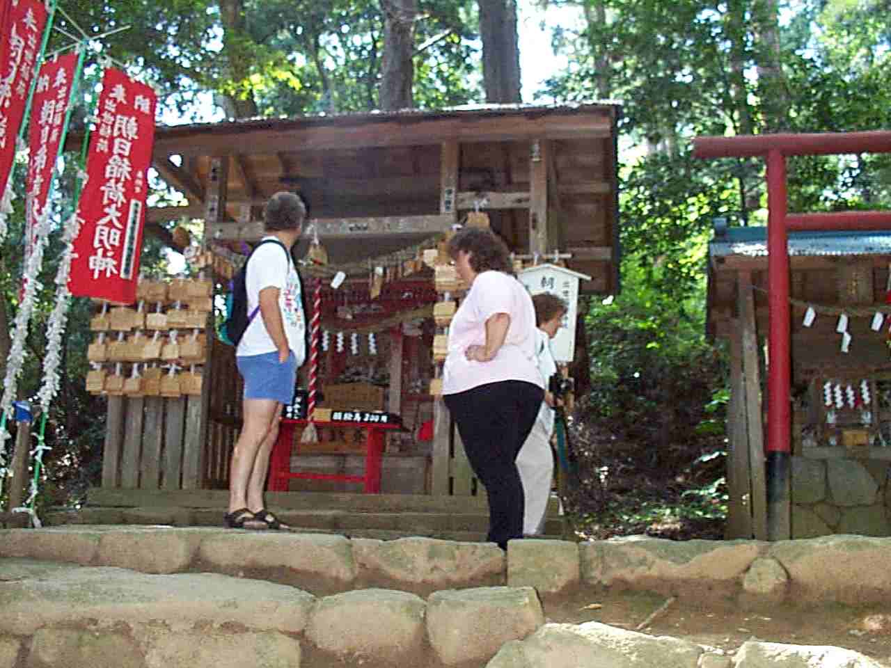 p000413.jpg:3046