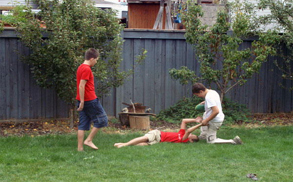 pict0045a.jpg:2524
